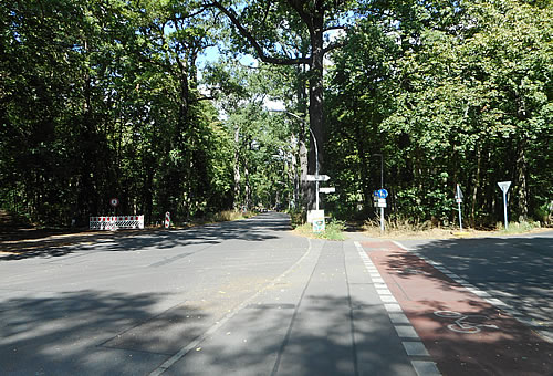 Stadtpark  Johannesstift