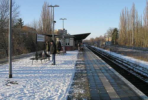 Schoenholz