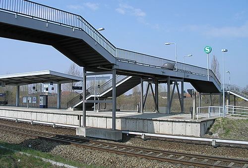 Birkenstein