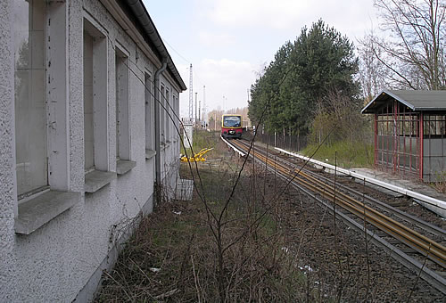 Hirschgarten
