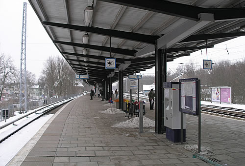 Buch