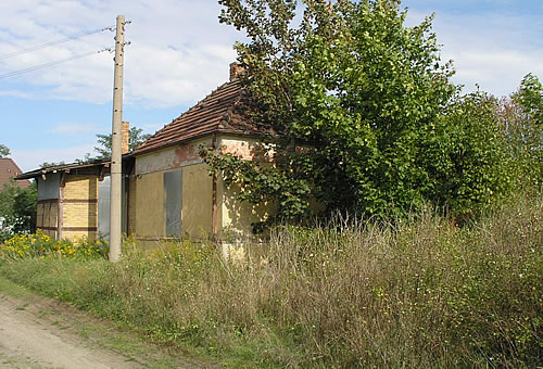 Bralitz