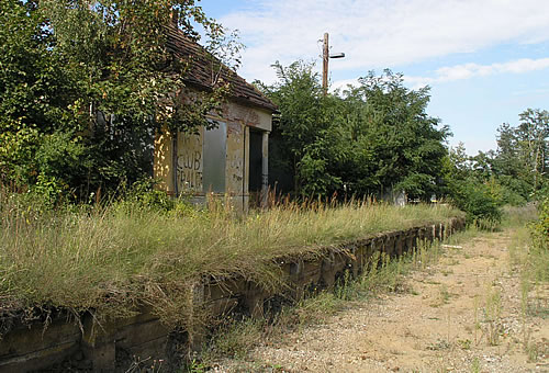 Bralitz