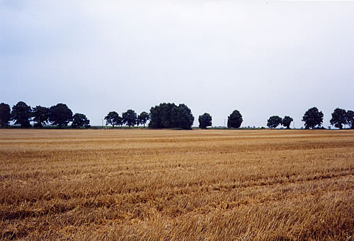 Osdorf